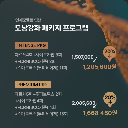 연세모벨르 이벤트