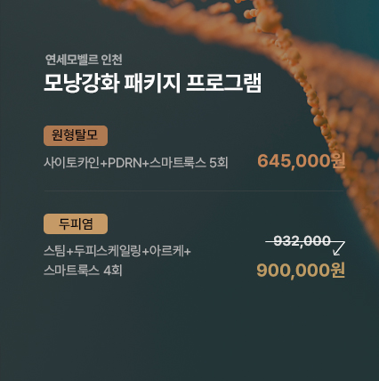 연세모벨르 이벤트