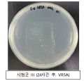VRSA 처리 후